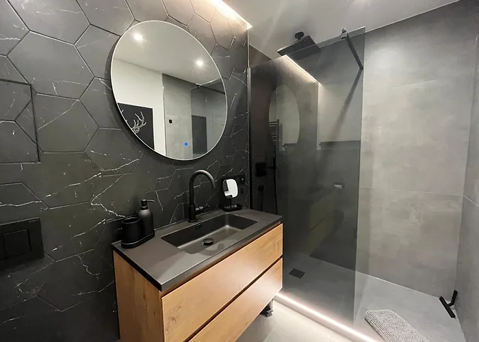 Wohnperle*elboase*einzigartig*hochwertig*ruhig Dresden